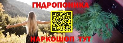 jwh Аргун